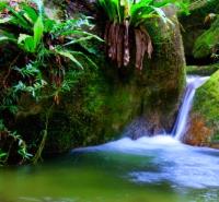 Mossman Gorge